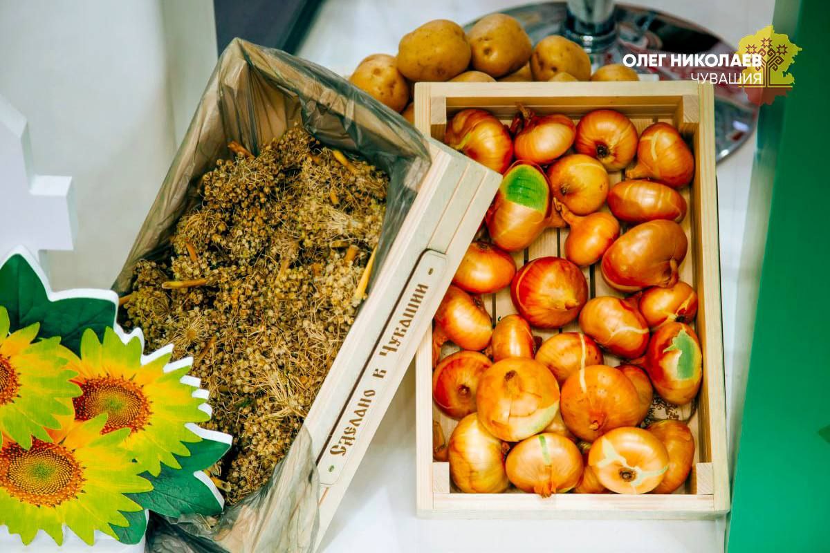 В Чувашии подведены предварительные итоги уборочной кампании В Чувашии подведены предварительные итоги уборочной кампании