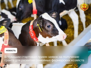 Фермеры Чувашии могут получить гранты до 18 млн рублей на развитие своих хозяйств