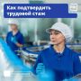 Как узнать свой трудовой стаж: основные шаги к страховой пенсии
