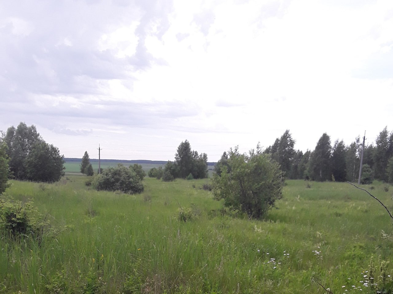 Управление Россельхознадзора по Чувашской Республике подвело итоги внепланового инспекционного визита в отношении земельного участка сельхозназначения площадью более двух гектаров, расположенного в Канашском муниципальном...