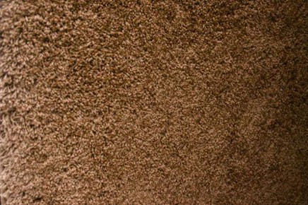 Как очистить ковер от въевшейся грязи: бюджетный способ