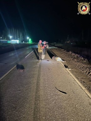 Автоинспекторы работают на месте ДТП с участием пешехода