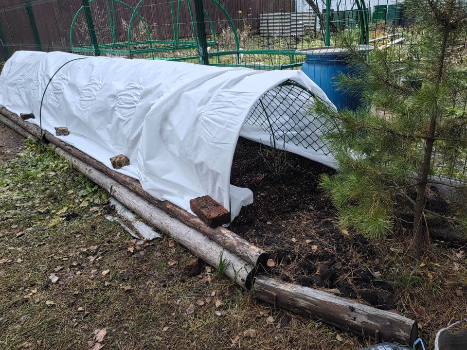 Как защитить укрытия от порывистого ветра: 5 эффективных решений