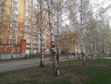 Ремонт в квартире: что нужно знать о стенах, чтобы избежать штрафов