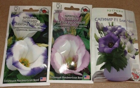 Как вырастить радужный цветок эустомы: секреты успешного посева