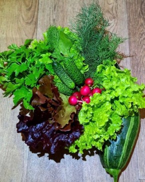 Как легко вырастить свежую зелень и салаты: секреты успешного урожая