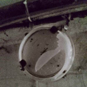 Ну вот опять. В подземном переходе у рынка «Эверест» кто-то разбил все новые светильники