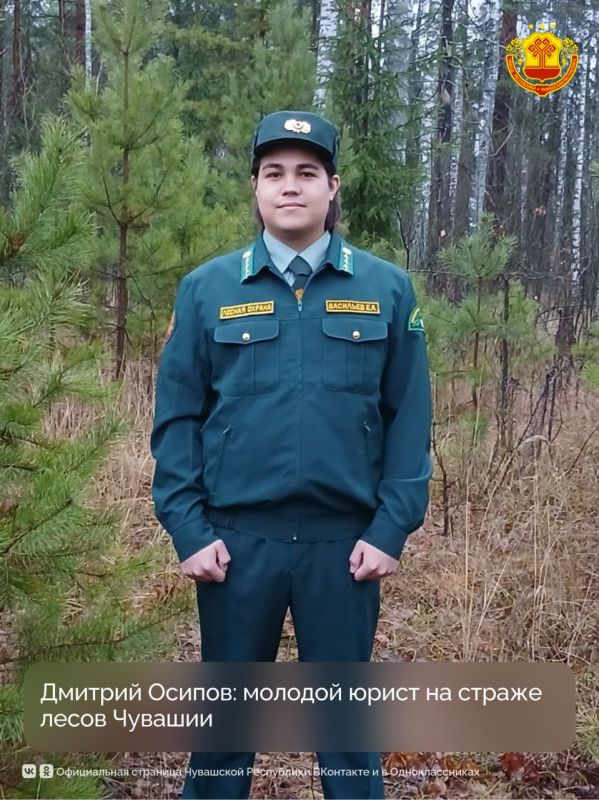 В Чувашии ежегодно перевыполняются целевые показатели по лесовосстановлению