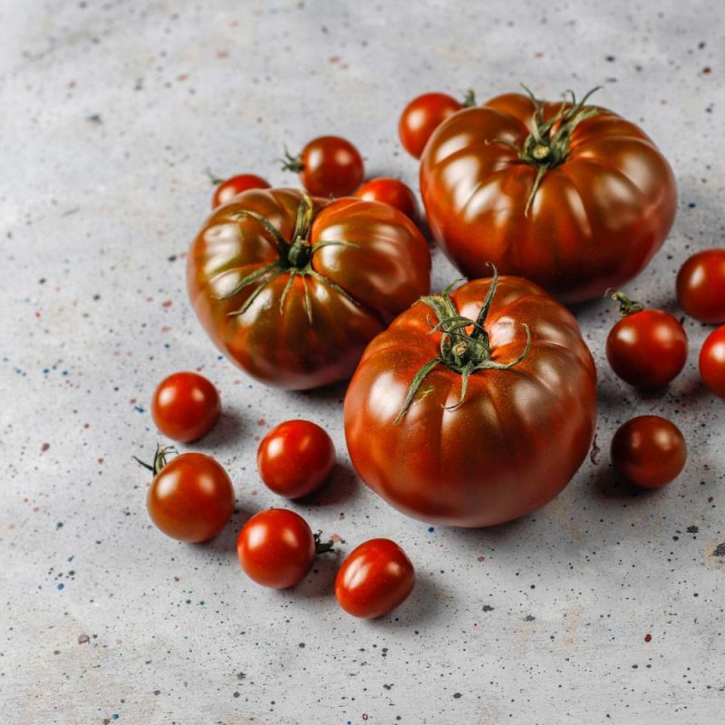 Черные томаты: экзотика в вашем огороде