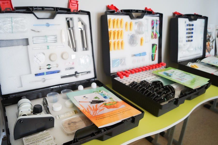 Чувашский аграрный университет займется селекцией чечевицы