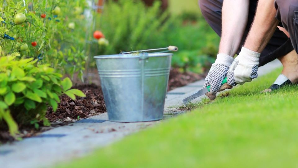 На плитке в саду не будет ни травинки: сорнякам не пережить эту ядреную смесь
