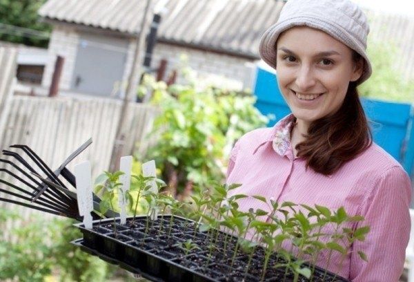 Секреты домашнего садоводства: эффективные стимуляторы роста для семян