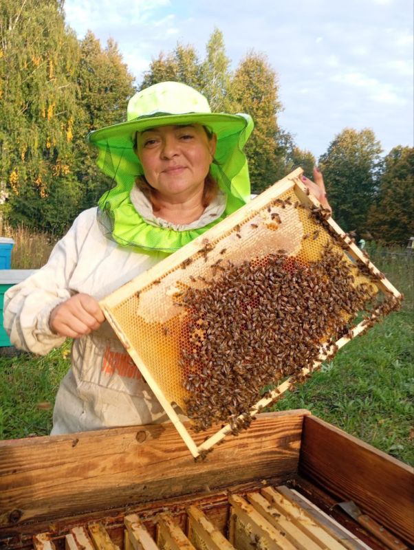 Мёд из Чувашии снова в числе лучших в России