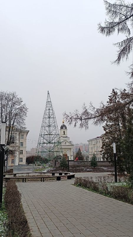 В Чебоксарах приступили к установке центральной новогодней елки