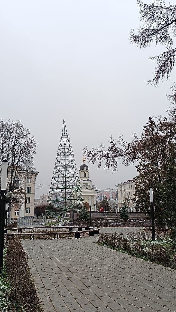 В Чебоксарах приступили к установке центральной новогодней елки