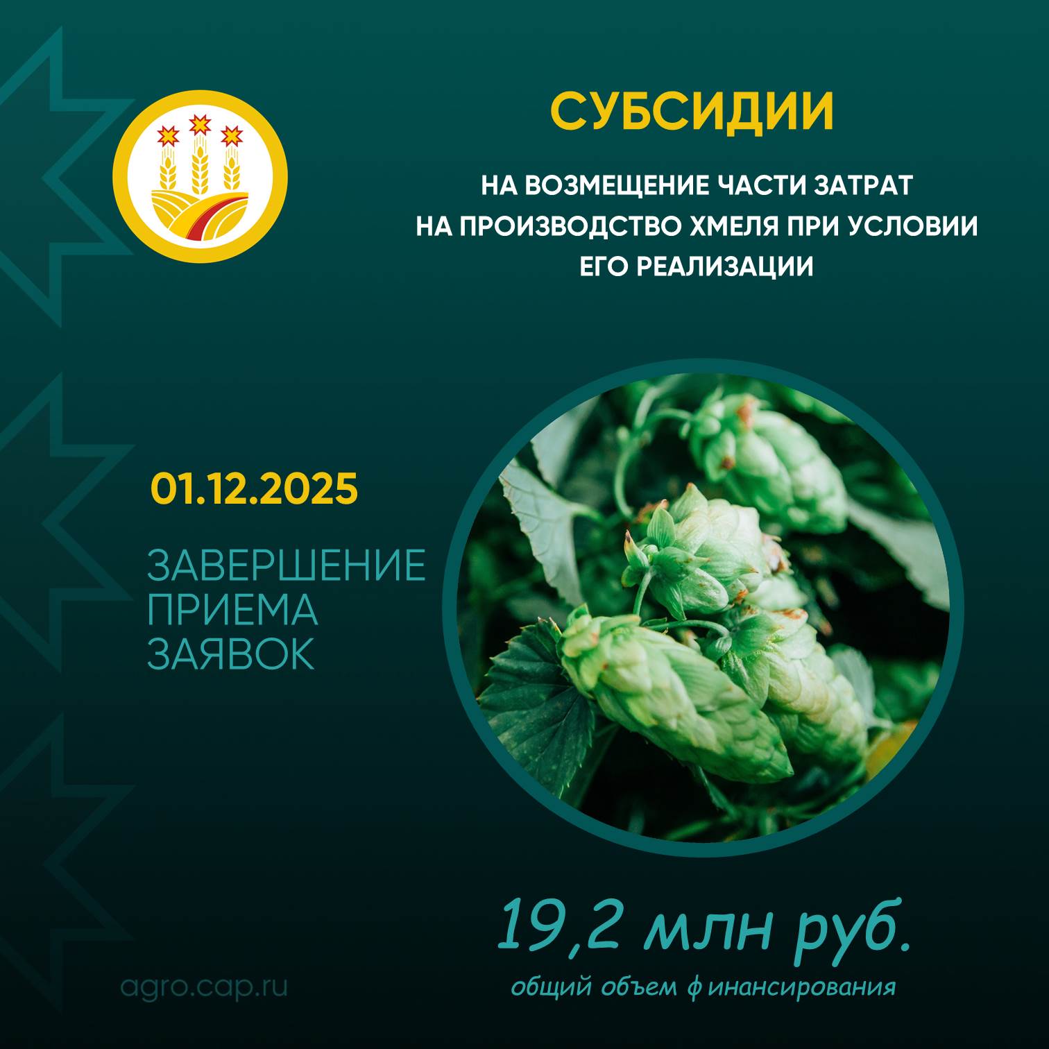 Минсельхоз Чувашии принимает заявки на субсидию для производителей хмеля