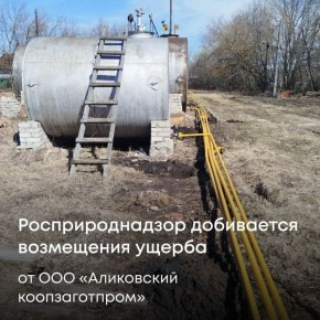 В Чувашской Республике Росприроднадзор требует от ООО «Аликовский коопзаготпром» компенсировать вред окружающей среде от разлива нефтепродуктов