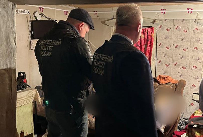 Жительница Комсомольского округа предстанет перед судом по обвинению в убийстве