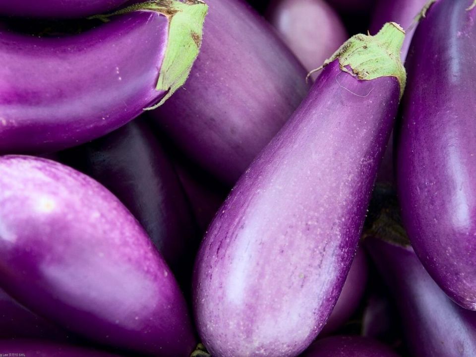 Как вырастить идеальные баклажаны: Секреты успешного урожая