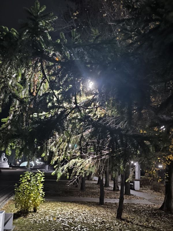 Друзья, уходящая неделя выдалась непростой, но именно в такие моменты Чебоксары становятся сильнее