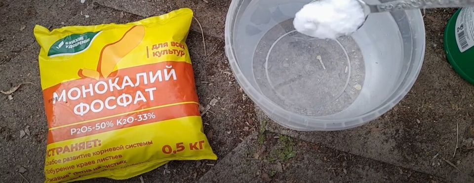 Монокалийфосфат: секрет ярких и вкусных урожаев
