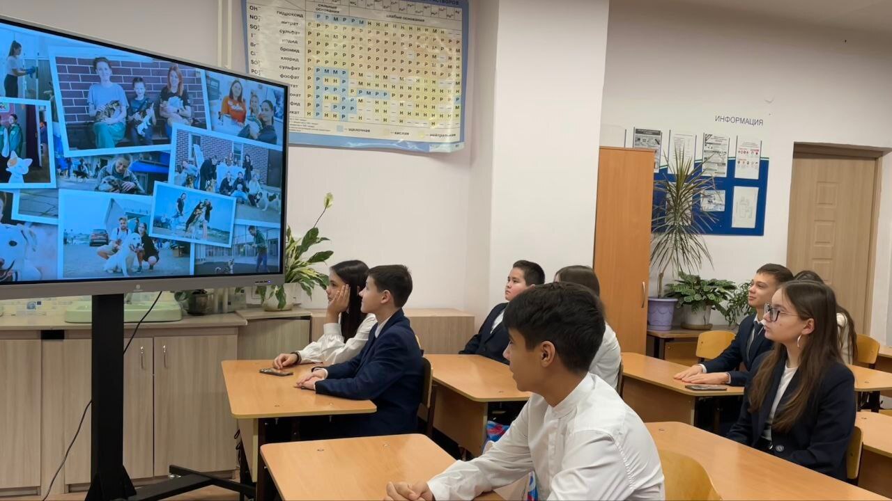 В чебоксарских школах прошли "Разговоры о важном", посвященные теме "Домашние питомцы" В чебоксарских школах прошли "Разговоры о важном", посвященные теме "Домашние питомцы"