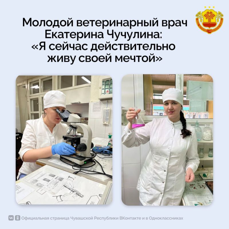 В Чебоксарской городской ветеринарной станции активно трудятся молодые специалисты, чей энтузиазм и новые методы работы вносят значительный вклад в ветеринарную отрасль и способствуют реализации федерального проекта «Кадры в...