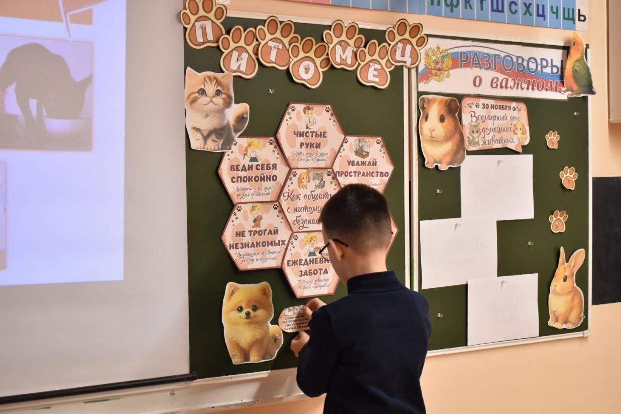 В чебоксарских школах прошли "Разговоры о важном", посвященные теме "Домашние питомцы" В чебоксарских школах прошли "Разговоры о важном", посвященные теме "Домашние питомцы"