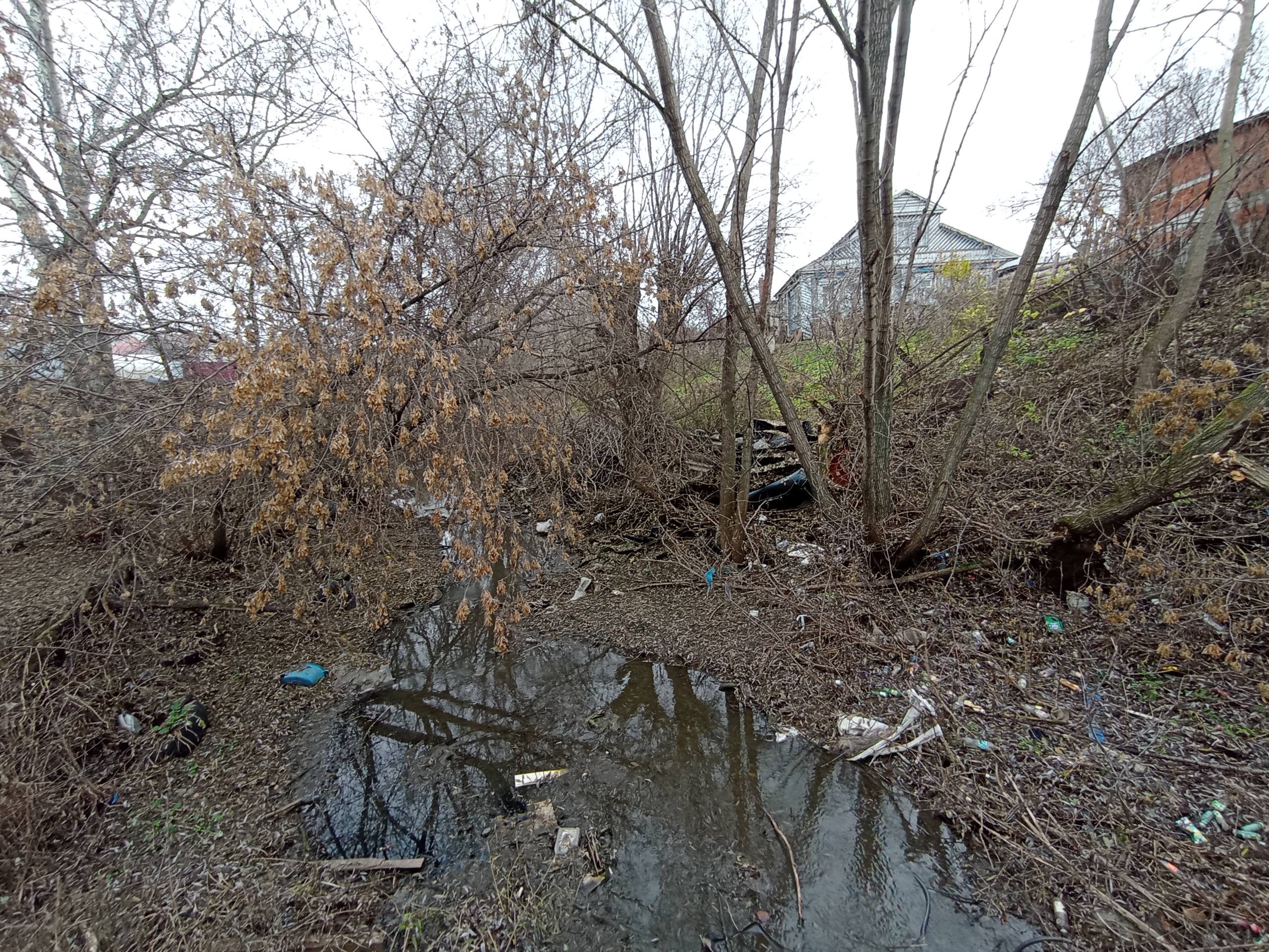 Прокуратурой Батыревского района выявлена крупная несанкционированная свалка мусора Прокуратурой Батыревского района выявлена крупная несанкционированная свалка мусора