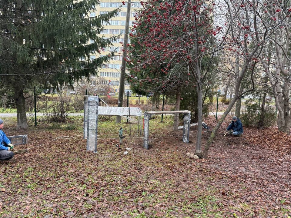 Отличная новость для владельцев собак!