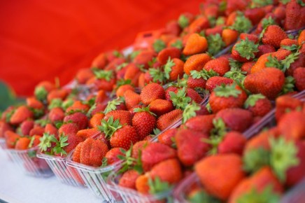 Из Чувашии – с любовью (и ягодами ): Кооператив покоряет X5 Group благодаря грантам