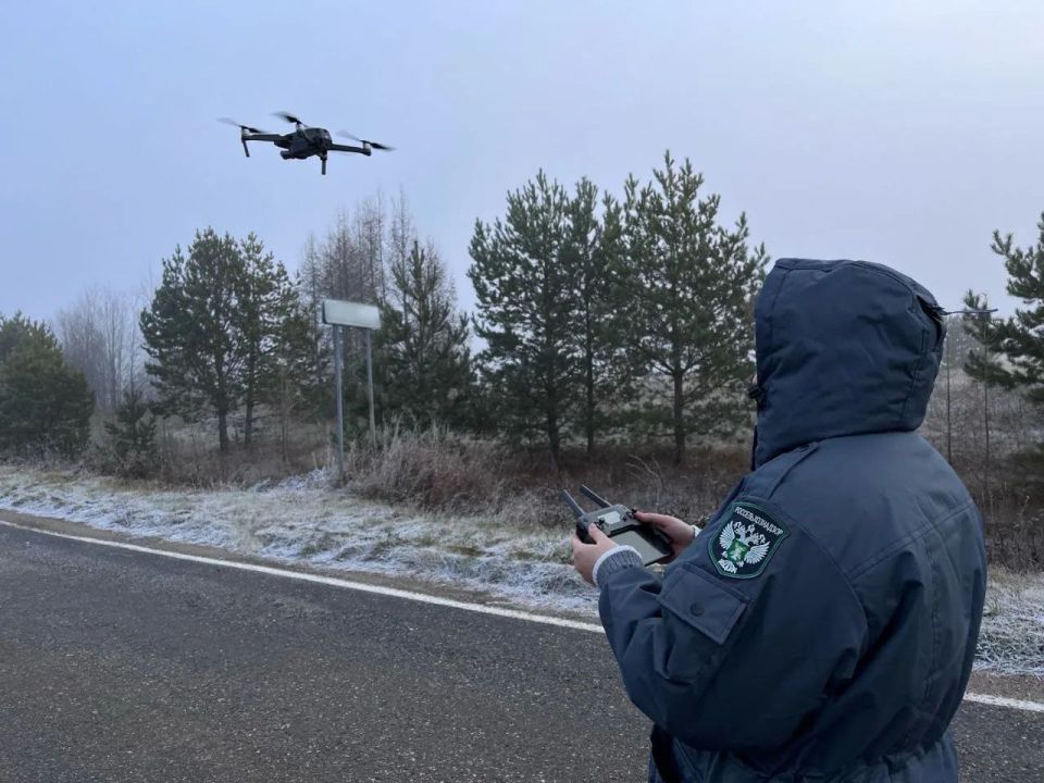 В Чувашии дроны выявили нарушения ветправил и неучтённый скот в пяти округах