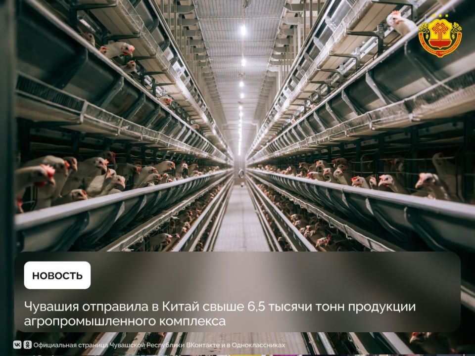 �� ������ ������� ����� ���� ������� �������������� � ����� 4,8 ������ ���� ������� ���������� � ������� �����