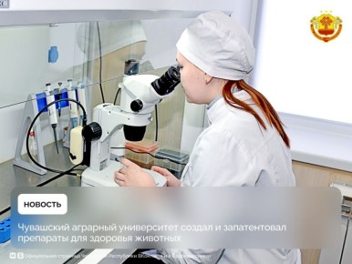 Ученые Чувашского государственного аграрного университета разработали новые биологически активные препараты