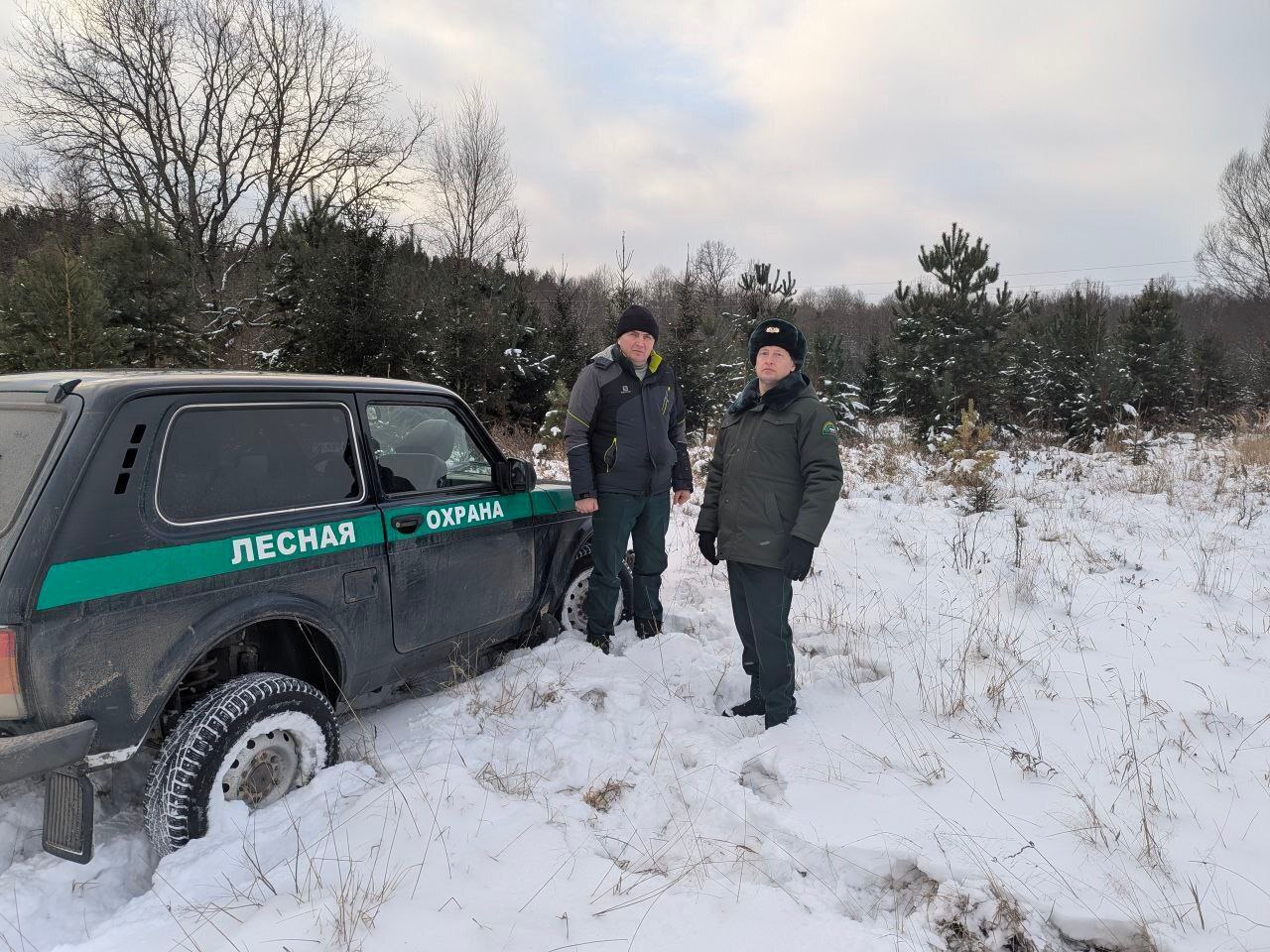 В Чувашии введен усиленный режим защиты хвойных насаждений В Чувашии введен усиленный режим защиты хвойных насаждений