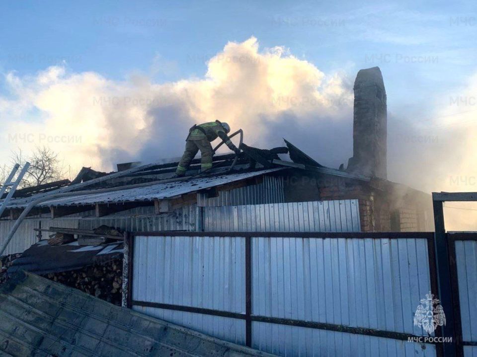 ��� ������ ������� ������� �� ����� � �������