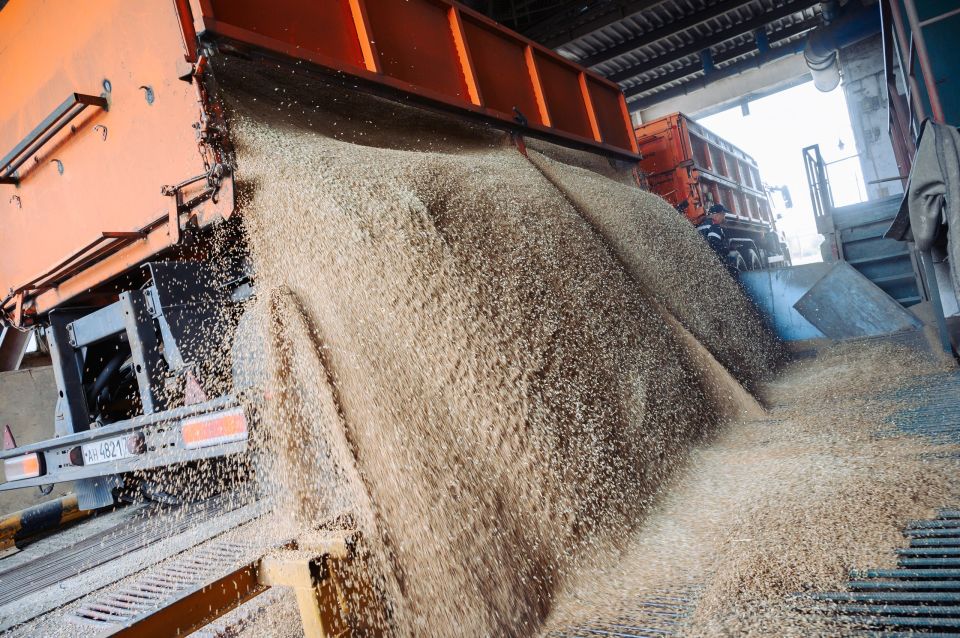 �� ������ �����: ��� ���������� �������������� � 2025 ����?