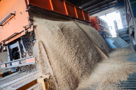 �� ������ �����: ��� ���������� �������������� � 2025 ����?