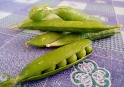 ��� ������ ������� ����� ��� �����������: ������� ������� ��� �������� �������