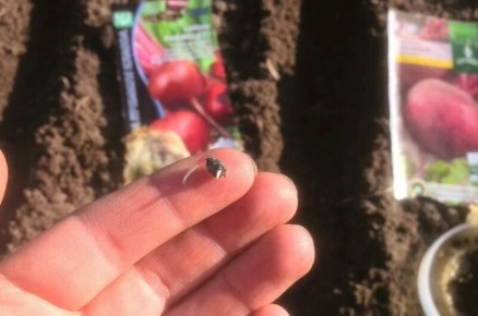 ������������ ����� ������: ����������� ������ ��� ���������� ������