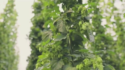 � ��������� ��������� ������� � ����������� �������� � ������������ ������� ��� ������������ ����-�������� ������ ��������, ������� ����� ����