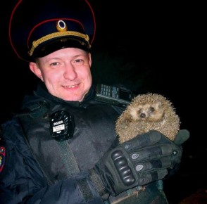 � ��� �� ��������� ���������� ��������� ������ �� ������� ������������� � ����� ����������� ��������������� ������� ������������� ����