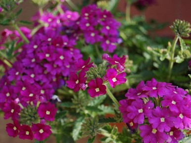 �������: �������� ������ � ����� ����