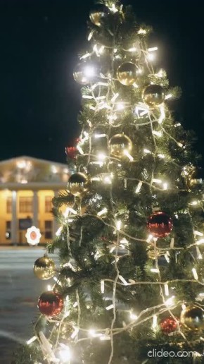 ��������� ������� ���������� ������: ����� �������� �������� ����