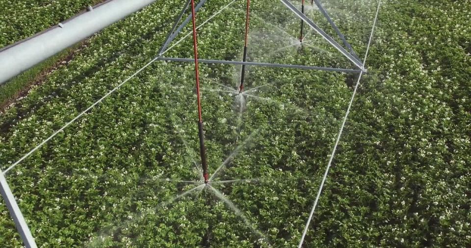 �������� �������. � 2026 ���� ������� ������� ����������� ��������� �� ������� ����������