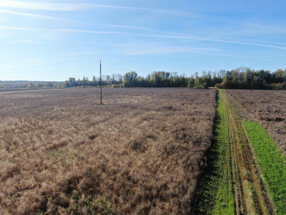 � ������� ����� 11 �������� ����������� ����� ������� � �������������