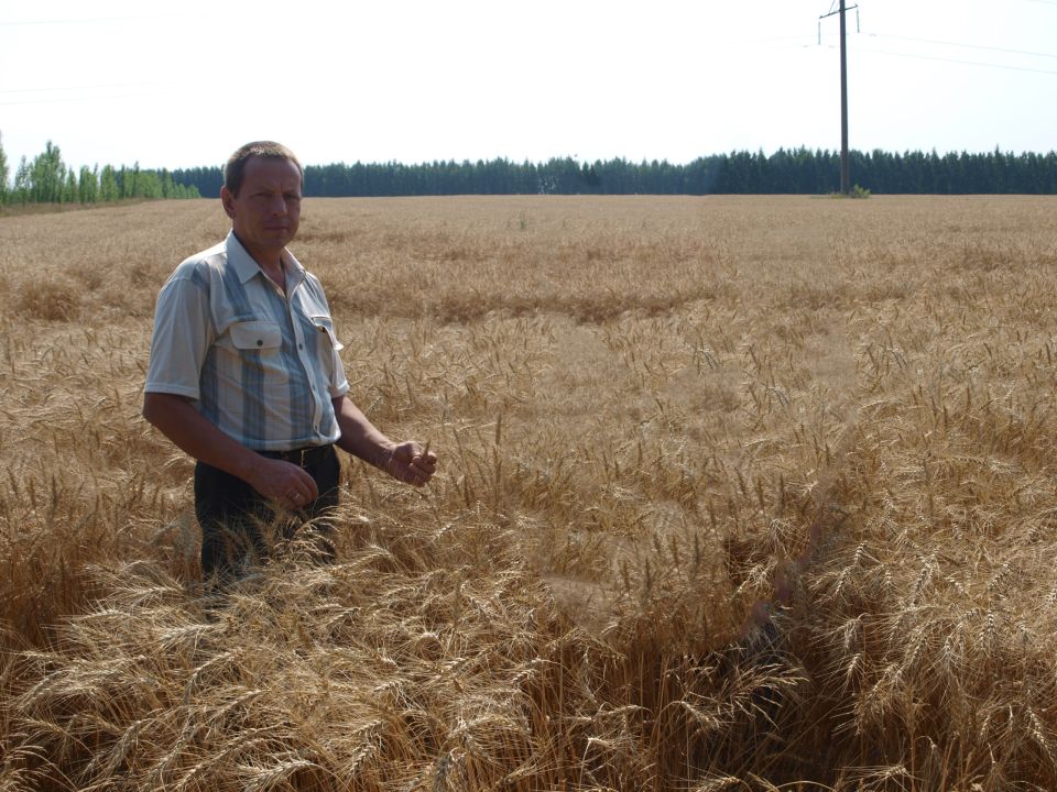 �������� ��������� ���������, ���������� ������ ��������� ��������� � �������� ������������� ����������� ������, ��������� �������� ������ ������������ �������� ��������� ��������� ��������� ����������