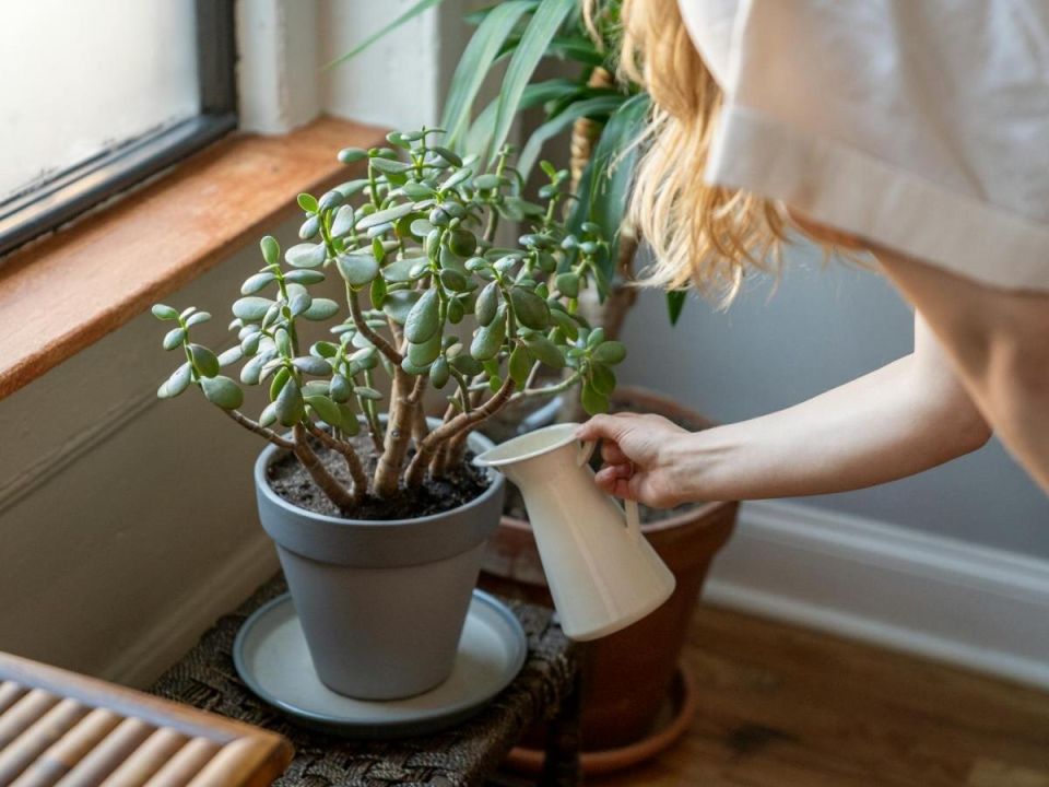 �������� ������: ������ ����� � �������� �����