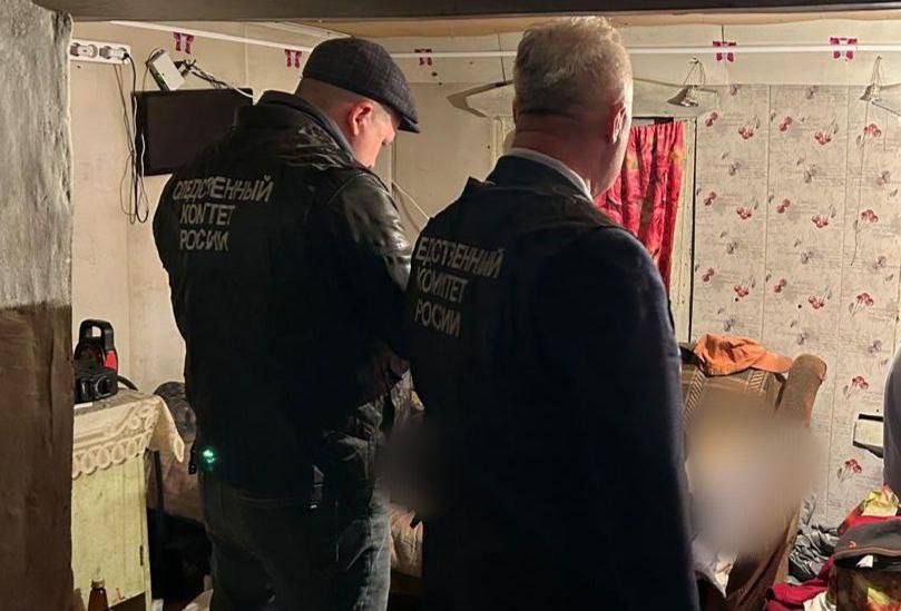 Жительница Комсомольского округа осуждена к длительному лишению свободы за убийство знакомого