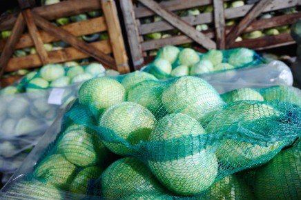 ������� ���������� ���������: ������ �������� �� �����